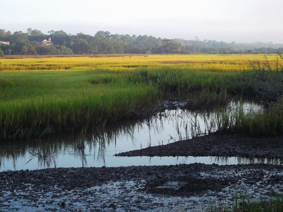 The Marshes of Glynn